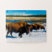 Bison Yellowstone Wyoming Puzzle (Horizontal)