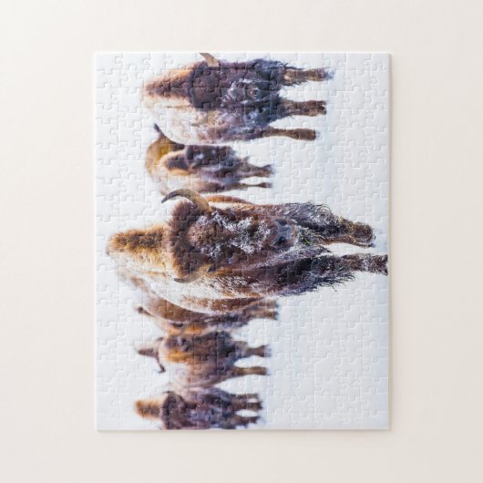 Bison Yellowstone Wyoming. Puzzle (Vertikal)