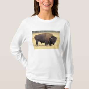 Bisonbulle im Yellowstone National T-Shirt