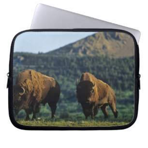 Bisonbullen im Waterton-Lakes-Nationalpark Laptopschutzhülle