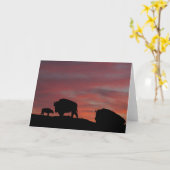 Bisonfamilie Karte (Gelbe Blume)