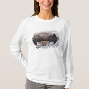 Bisonkuh mit Kalb, Yellowstone T-Shirt