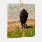 Bisons am Wasser Keramikornament (Rechts)