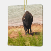 Bisons am Wasser Keramikornament (Links)