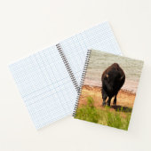 Bisons am Wasser Notizblock (Innenseite)
