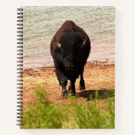 Bisons am Wasser Notizblock