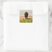 Bisons am Wasser Quadratischer Aufkleber (Tasche)