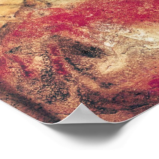 Bisons, aus den Höhlen von Altamira, um 15000 v. C Poster (Ecke)