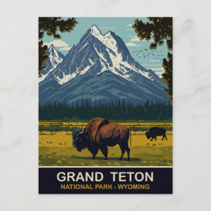 Bisons, Grand Teton Naturpark, Wyoming, Reise Postkarte