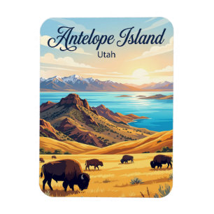 Bisons im Antelope Island State Park Utah Magnet