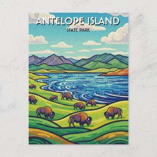 Bisons im Antelope Island State Park Utah Postkarte