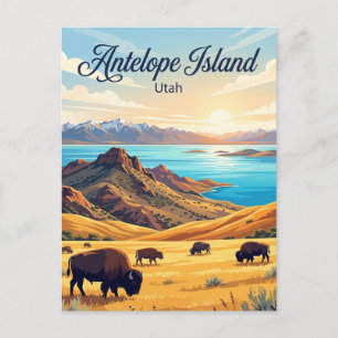 Bisons im Antelope Island State Park Utah Postkarte