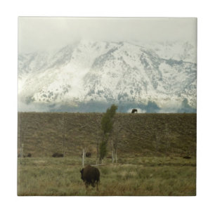 Bisons im Grand Teton National Park Fotografie Fliese