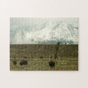 Bisons im Grand Teton National Park Fotografie Puzzle