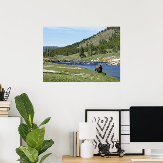 Bisons im Yellowstone-Nationalpark Poster (Heimbüro)