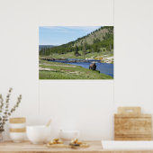 Bisons im Yellowstone-Nationalpark Poster (Küche)