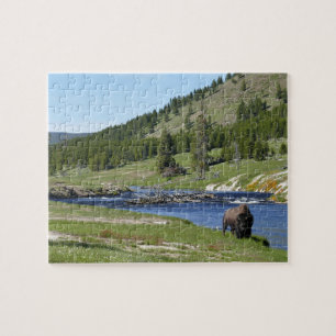 Bisons im Yellowstone-Nationalpark Puzzle