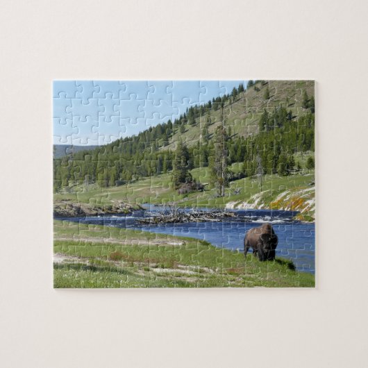 Bisons im Yellowstone-Nationalpark Puzzle (Horizontal)