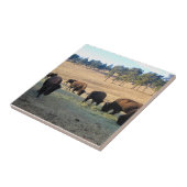 Bisons in Colorado Fliese (Seite)