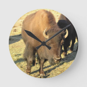 Bisons in Colorado Runde Wanduhr