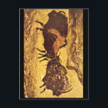 Bisons', Lascaux, Dordogne_Art der Antike Postkarte<br><div class="desc">Willkommen in unserem Geschäft. In unserem großen Kunstladen stellen wir Meisterwerke der besten Künstler der Geschichte vor - die Meister selbst. 

Diese Bisons',  Lascaux,  Dordogne_Art of AntiquityFür weitere großartige Kunstwerke besuchen Sie unseren Shop unter http://zazzle.com/GreatWorksofArt</div>