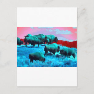 Bisons Postkarte