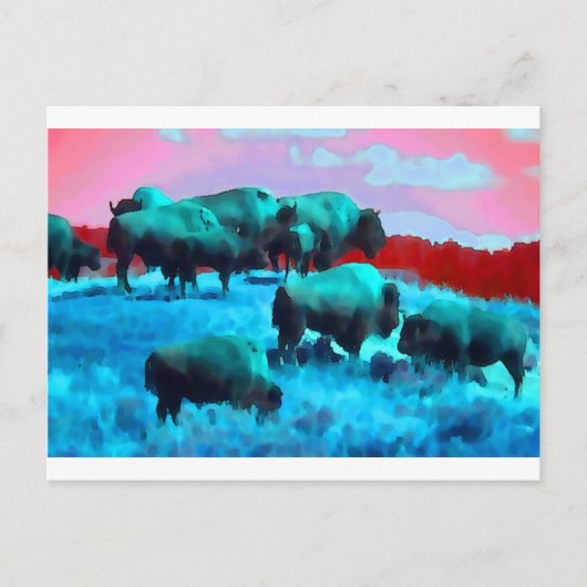 Bisons Postkarte (Vorderseite)