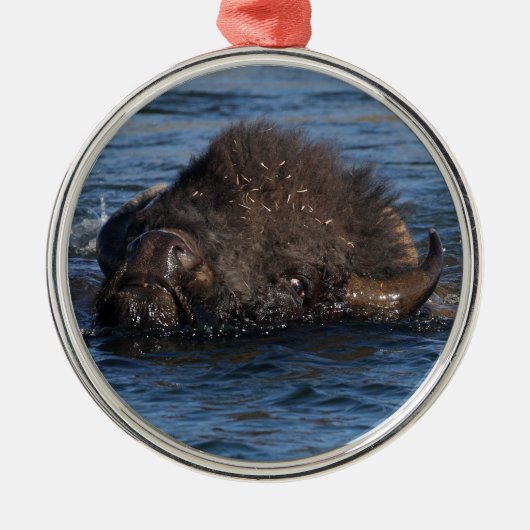 Bisonschwimmen Ornament Aus Metall (Vorne)