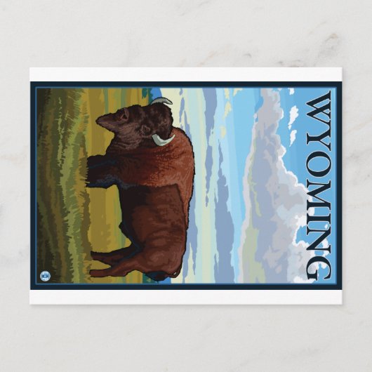 Bisonszene - Wyoming Postkarte (Vorderseite)