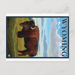 Bisonszene - Wyoming Postkarte