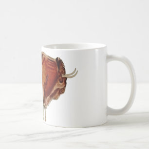 Bisonte ~ Altamira Spanien ~ Höhlen-Zeichnen Kaffeetasse