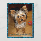 Bist du bereit für Fußball? Postkarte (Vorderseite)