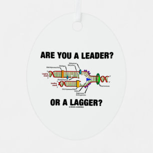 Bist du ein Führer? Oder eine Verzögerung? DNA-Rep Ornament Aus Metall