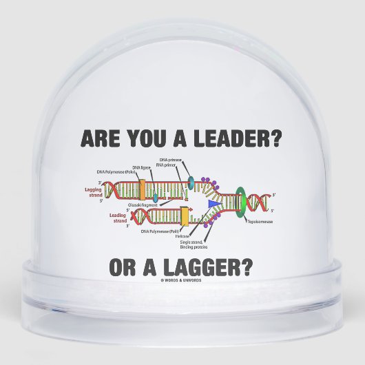 Bist du ein Führer? Oder eine Verzögerung? DNA-Rep Schneekugeln (Vorderseite)