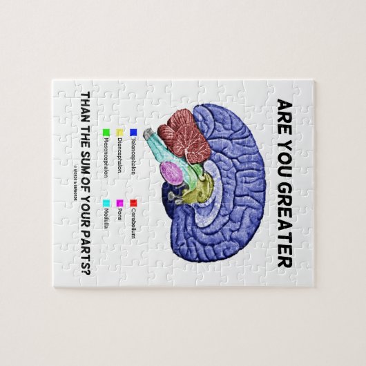 Bist du größer als die Summe deiner Teile? Gehirn Puzzle (Horizontal)