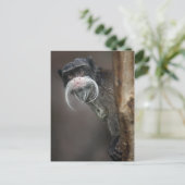 Bist du mein Friseur? Postkarte (Stehend Vorderseite)