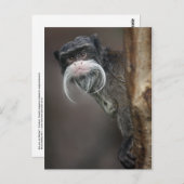 Bist du mein Friseur? Postkarte (Vorne/Hinten)