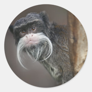 Bist du mein Friseur??? Sticker