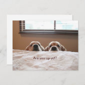 Bist du noch goldgelber Retriever Postkarte (Vorne/Hinten)