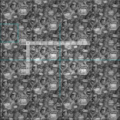 BITE ME Orchideen und Rose SCHWARZ-WEISS Stoff (Kachel)