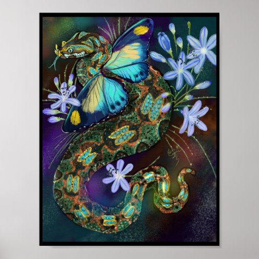 Bitis Nasicornis Butterfly Viper Poster (Vorne)