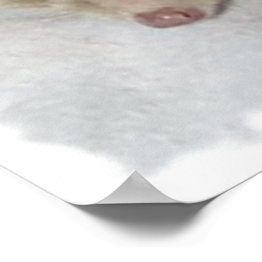 Bitsy der Igel Poster (Ecke)