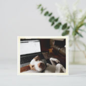 Bitte beachten postkarte (Stehend Vorderseite)