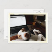 Bitte beachten postkarte (Vorne/Hinten)