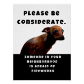 Bitte beachten Sie die Sicherheit von Feuerwerkskö Poster (Vorderseite)