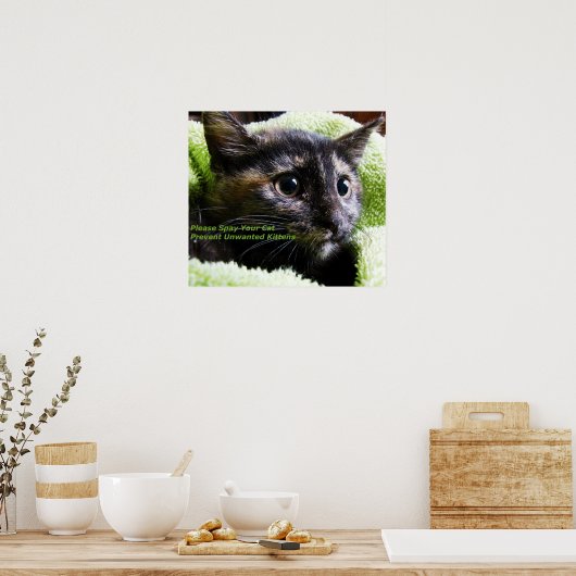 Bitte geben Sie Ihre Katze aus Poster (Küche)