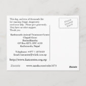 BITTE HELFEN, HUNDE IN NEPAL ZU DESPERIEREN POSTKARTE (Rückseite)