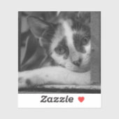 Bitte Kitty Aufkleber (Blatt)