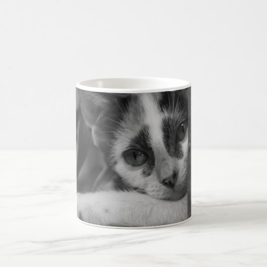 Bitte Kitty Kaffeetasse (Mittel)