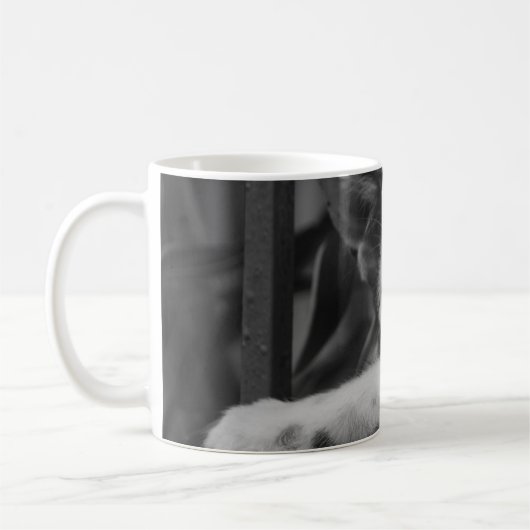 Bitte Kitty Kaffeetasse (Links)